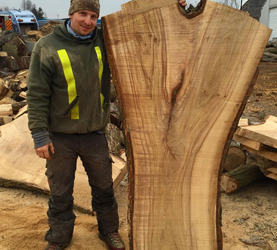 Arborist Services Toronto