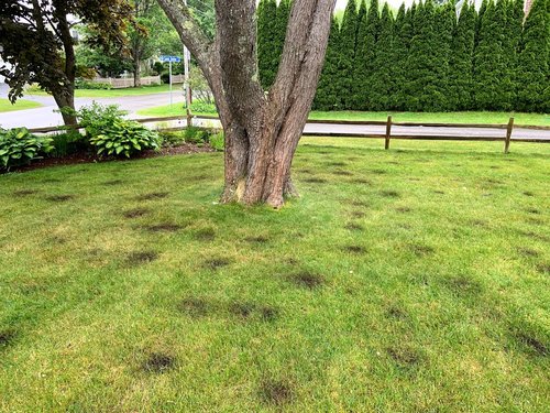 vertical mulching