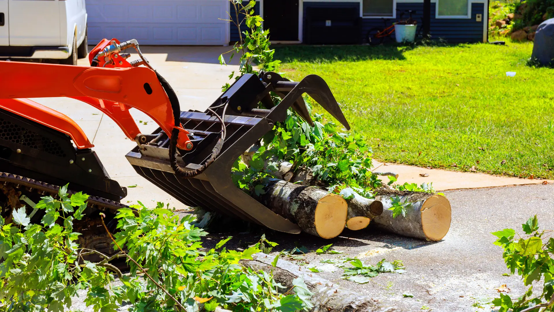 Toronto Tree Removal Permit Guide