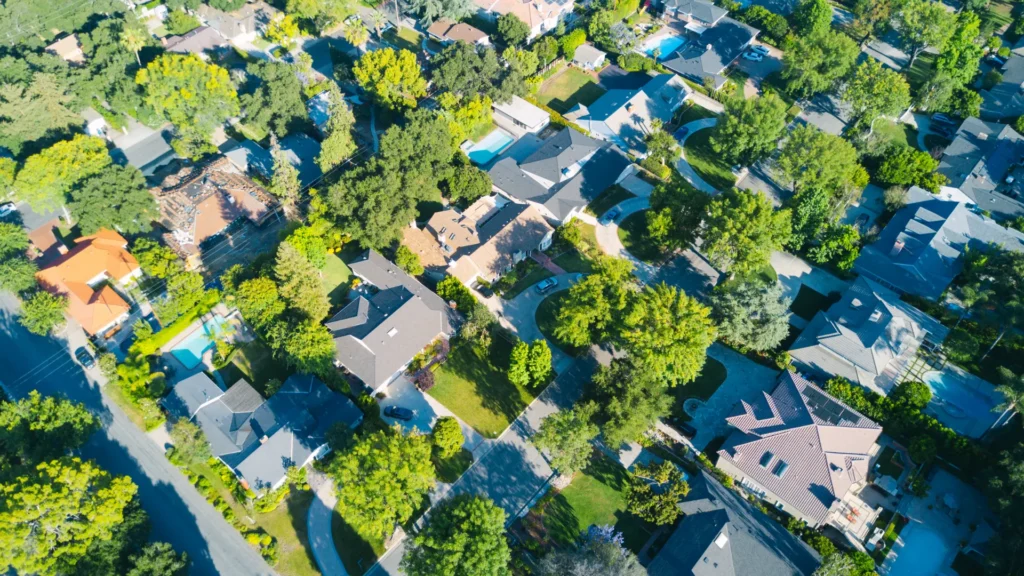 How Much Does an Arborist Report Cost in Toronto