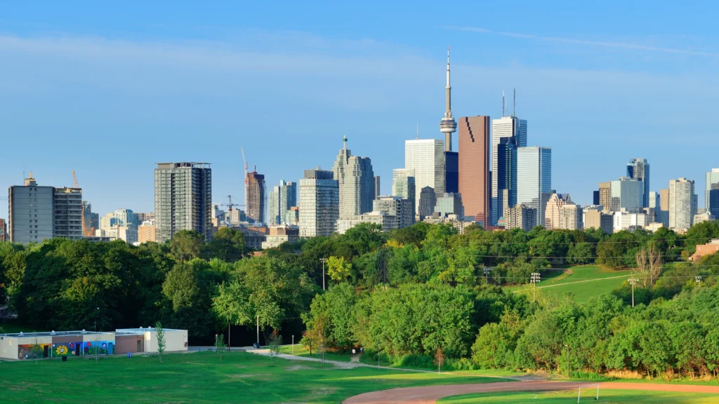 Toronto Tree Permit Applications: Common Reasons for Rejection